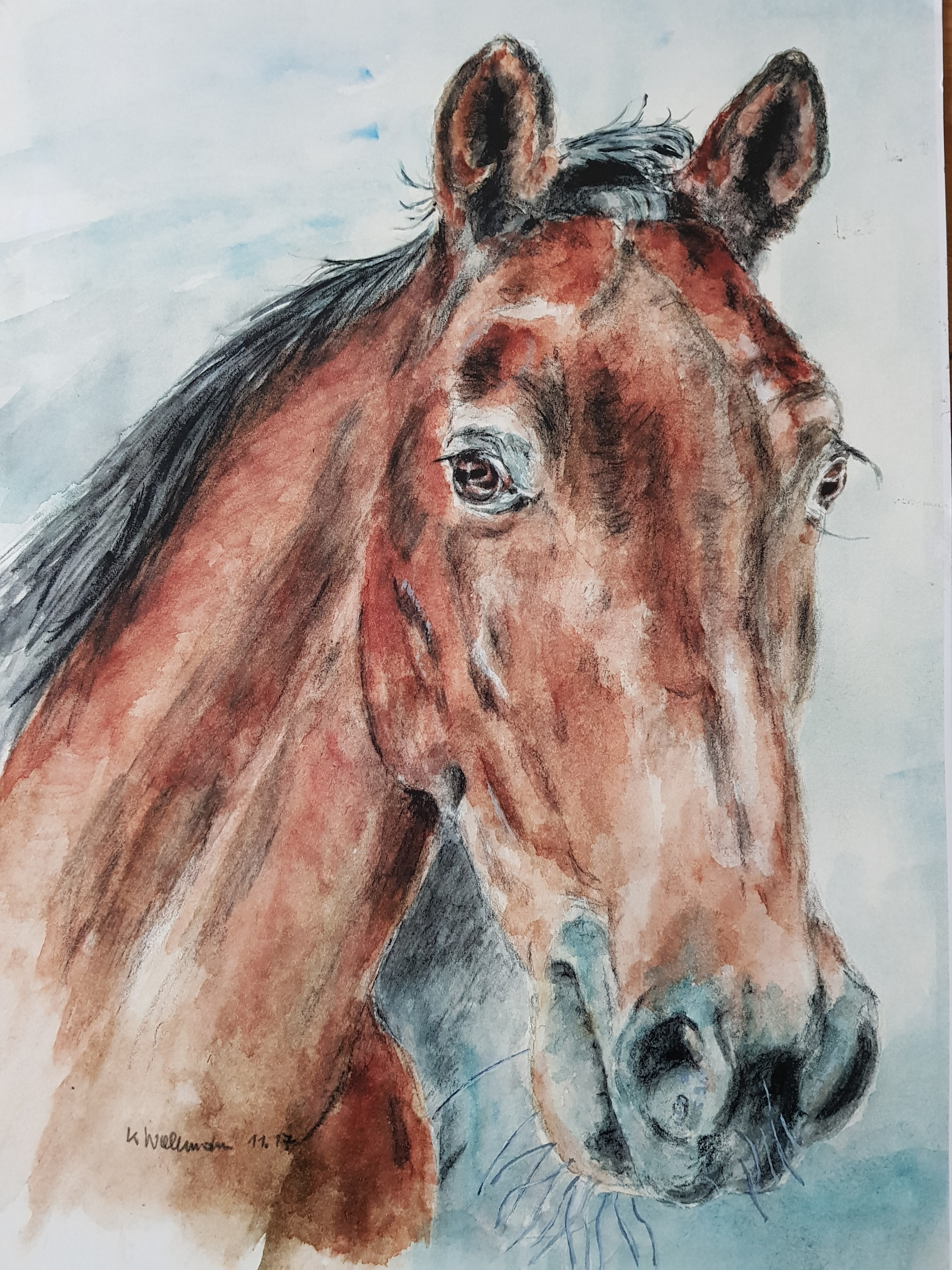Portrait Pferd - Aquarell - 85 €