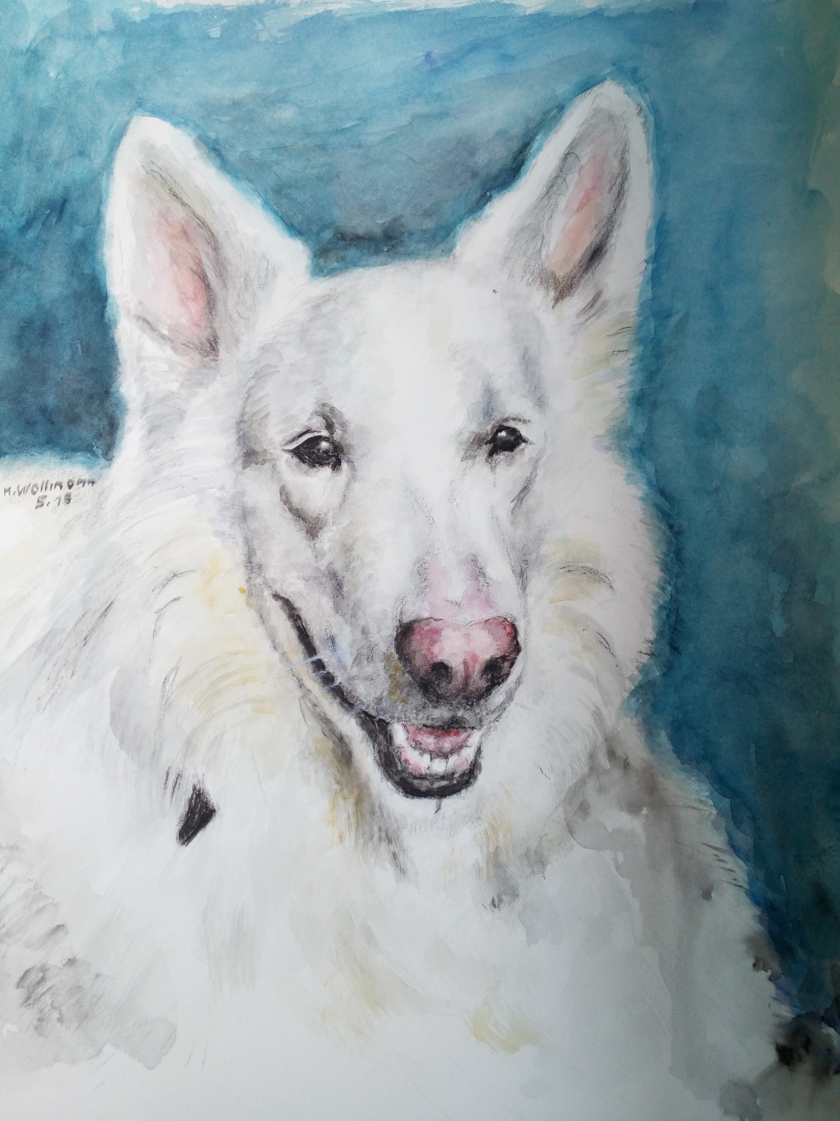 Portrait Hund - Aquarell  - 85 €